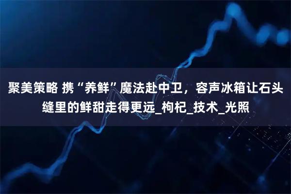聚美策略 携“养鲜”魔法赴中卫，容声冰箱让石头缝里的鲜甜走得更远_枸杞_技术_光照